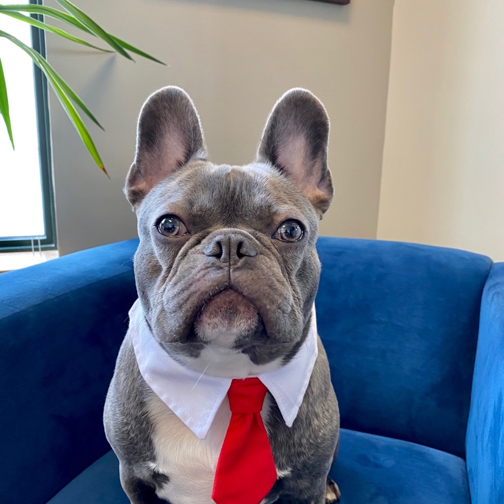 Meet your Posher, Brian